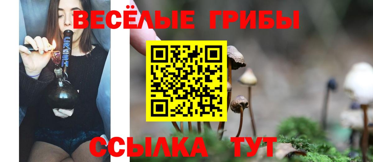 Галлюциногенные грибы Psilocybine cubensis  Вход с VPN  Ростов-на-Дону  Галлюциногенные грибы мицелий 